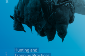 Hunting and  Trapping Practices in Egypt’s Northern Mediterranean Coast